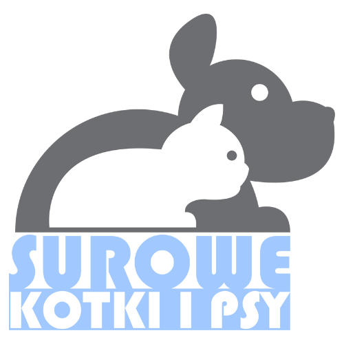 formularz – kopia